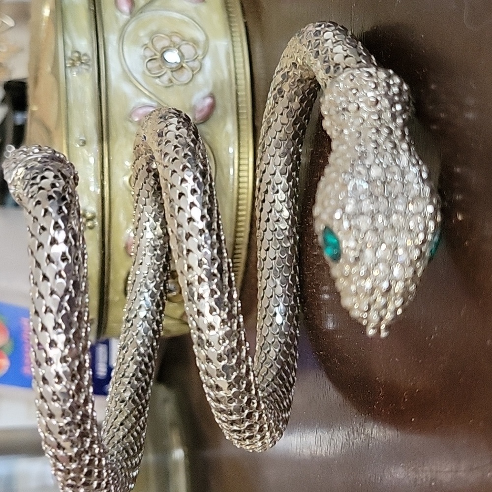 Snake wrapped bracelet